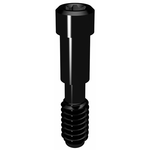 Picture of Elos Pros Screw M2 for NobelReplace RP/WP/6.0