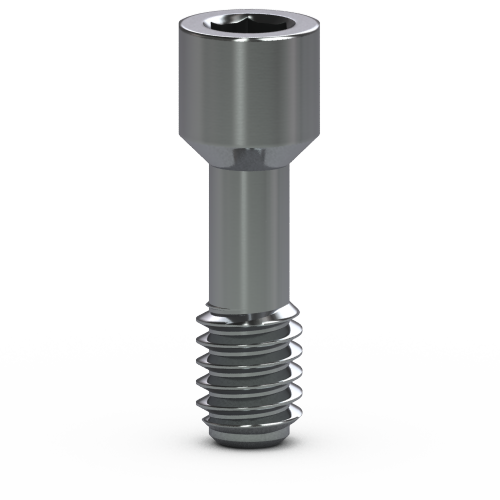 Picture of BioH, Internal Abutment Screw, Silver 25 pack