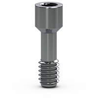 Picture of BioH, Internal Abutment Screw, Silver (PXAS)